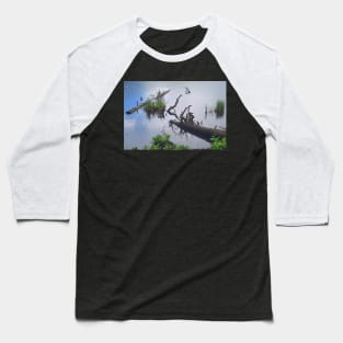 Water Scene with Dead Logs Baseball T-Shirt